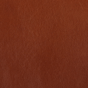 Light Brown Calfskin