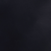 Handpolished Navy Blue