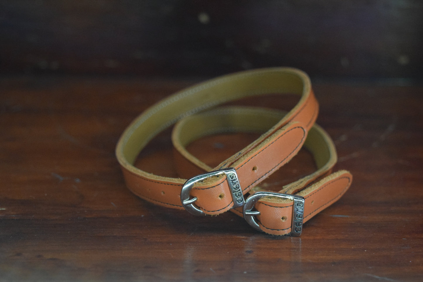 Celeris Sporeremme Orange