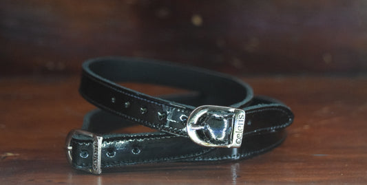 Celeris Sporeremme Sort Lak